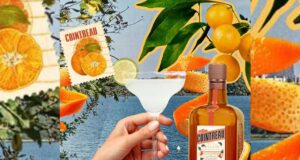 8 días y 8 Margaritas para celebrar el Día Internacional del Margarita