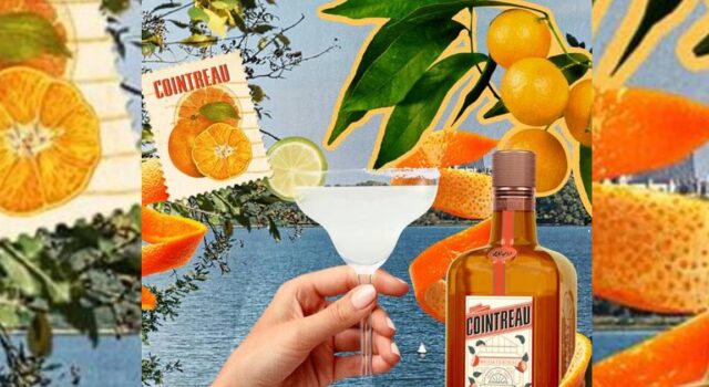 8 días y 8 Margaritas para celebrar el Día Internacional del Margarita