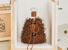 Hennessy Paradis x LOEWE