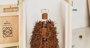 Hennessy Paradis x LOEWE