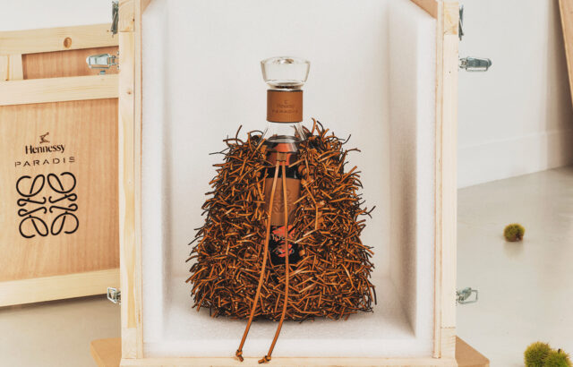 Hennessy Paradis x LOEWE