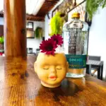 Gin Mg Paradiso