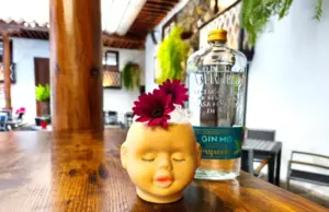 Por ti Pierdo la Cabeza Gin Mg Paradiso