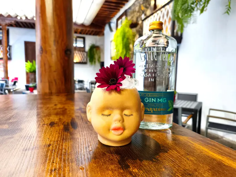 Gin Mg Paradiso