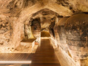 Bodegas Murviedro propone una inmersión en la historia del vino durante la Feria y Fiesta de la Vendimia de Requena 2025 Bodegas Murviedro