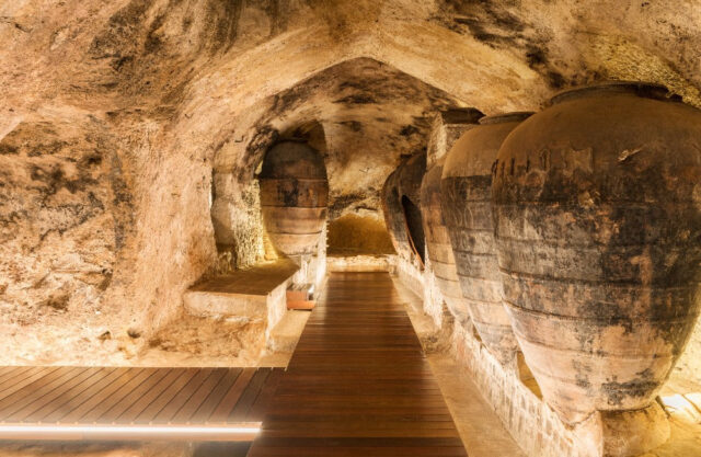 Bodegas Murviedro propone una inmersión en la historia del vino durante la Feria y Fiesta de la Vendimia de Requena 2025 Bodegas Murviedro