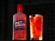 ¿Qué es Rhett Random?