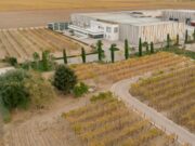 Bodegas José Pariente presenta “Pariente Vivo”