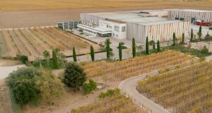 Bodegas José Pariente presenta “Pariente Vivo”