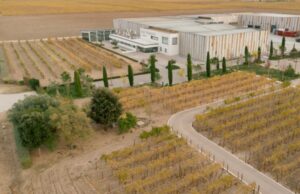 Bodegas José Pariente presenta “Pariente Vivo”