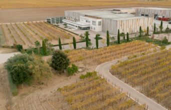 Bodegas José Pariente presenta “Pariente Vivo”