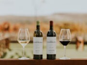 Vinos Finca La Emperatriz 19