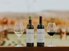 Vinos Finca La Emperatriz 19