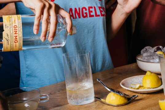 Half Gin & Tonic, el combinado perfecto