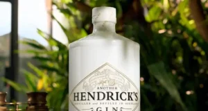 ANOTHER HENDRICK’S GIN
