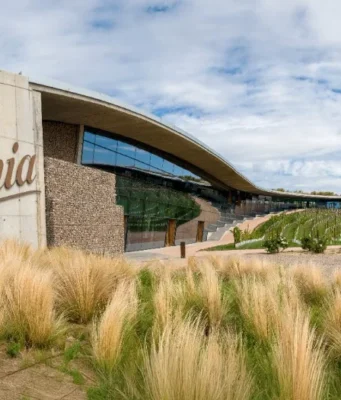 BERONIA AVANZA EN EL USO DE VIDRIO LIGERO UNIÉNDOSE A BOTTLE WEIGHT ACCORD BERONIA