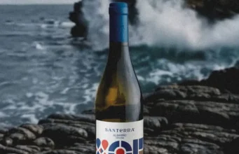 Tres vinos para regalar de Bodegas Murviedro