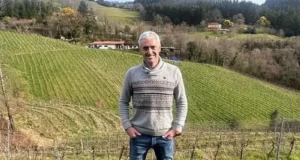 Txakoli de Álava: frescura atlántica con alma de Ayala