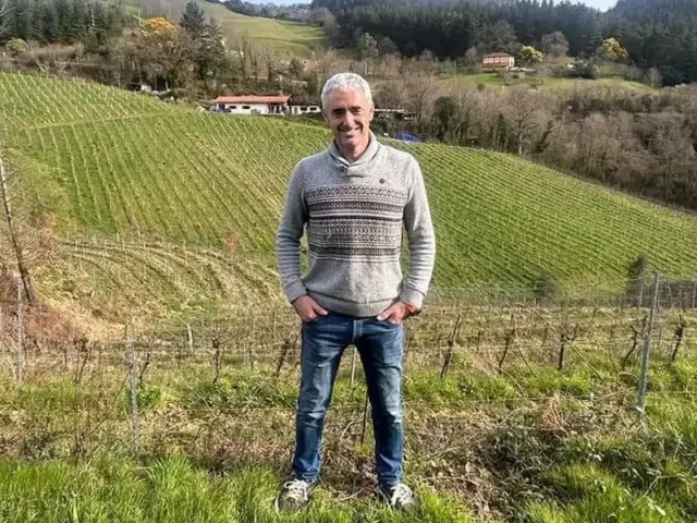 Txakoli de Álava: frescura atlántica con alma de Ayala