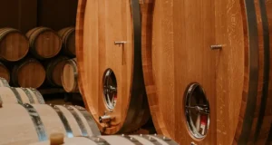 Experiencias Bodegas José Pariente