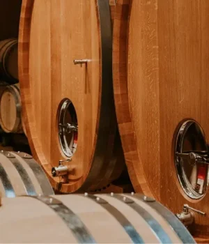 Experiencias Bodegas José Pariente
