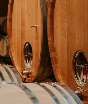 Experiencias Bodegas José Pariente