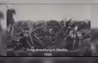 MEZCAL, EL ESPÍRITU LÍQUIDO DE MÉXICO.