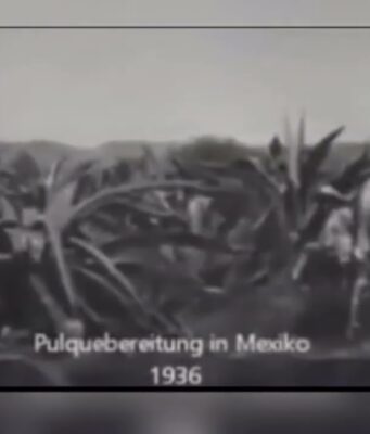 MEZCAL, EL ESPÍRITU LÍQUIDO DE MÉXICO.