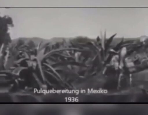 MEZCAL, EL ESPÍRITU LÍQUIDO DE MÉXICO.