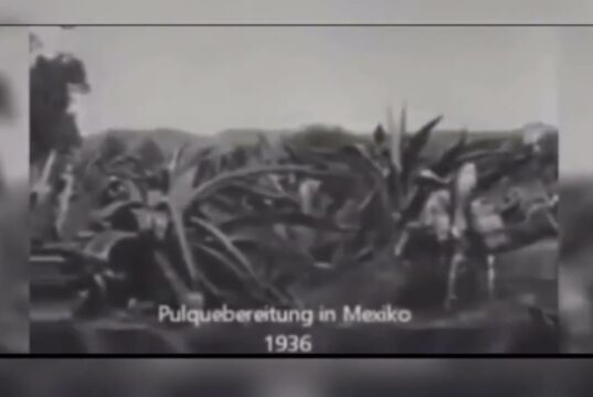 MEZCAL, EL ESPÍRITU LÍQUIDO DE MÉXICO.