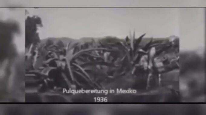 MEZCAL, EL ESPÍRITU LÍQUIDO DE MÉXICO.