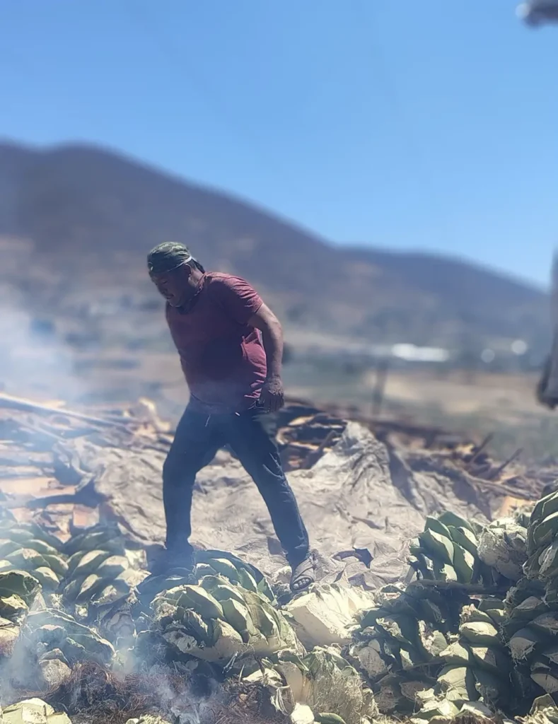 El Agave nos ofrece otro destilado que no es Mezcal. ( Foto Mezcal Tío Meke)