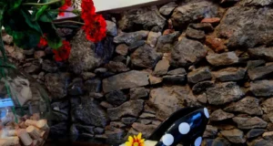 El cóctel que une Canarias y Andalucía: Ginebra Legacy, Ibérico de Bellota y Alta Coctelería