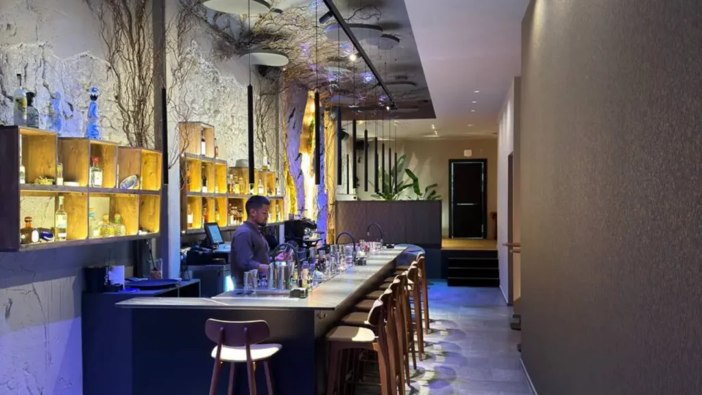 Barra de Sylvarum, coctelería en Alicante, con su decoración de roca y vegetación