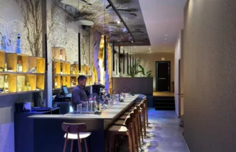Coctelería en Alicante: lo que está pasando en la calle Bailén Barra de Sylvarum, coctelería en Alicante, con su decoración de roca y vegetación