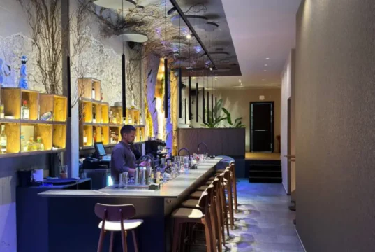 Coctelería en Alicante: lo que está pasando en la calle Bailén Barra de Sylvarum, coctelería en Alicante, con su decoración de roca y vegetación