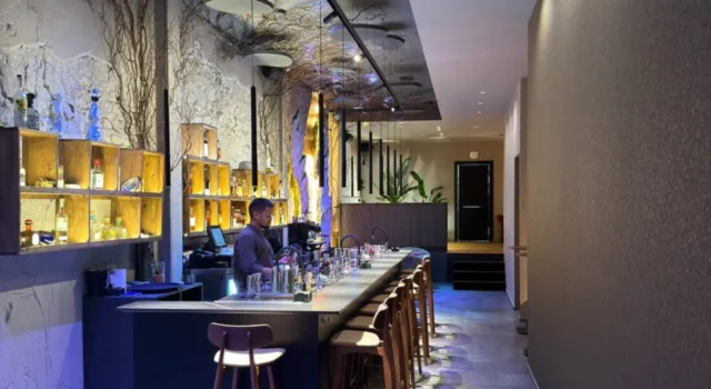 Coctelería en Alicante: lo que está pasando en la calle Bailén Barra de Sylvarum, coctelería en Alicante, con su decoración de roca y vegetación